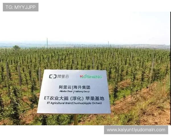 开云体育入口网址2026最新版本，提供稳定安全的官方登录通道，保障您的使用体验