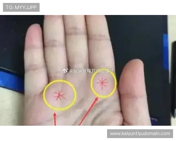 掌握开运线图解的核心要点让你在命理分析中游刃有余